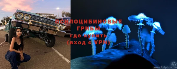 СК Новодвинск