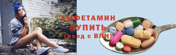 СК Новодвинск