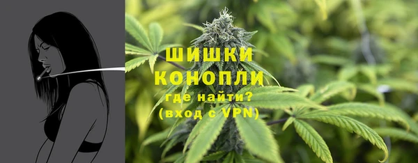 СК Новодвинск