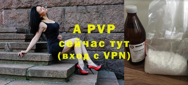 СК Новодвинск