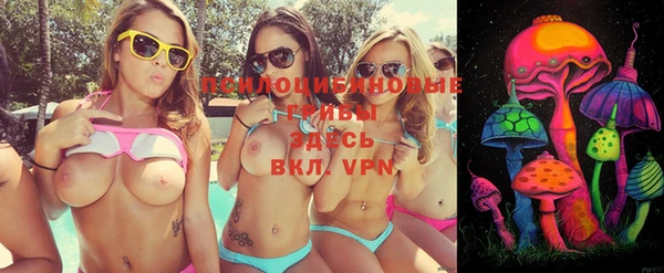 дживик Нефтекумск