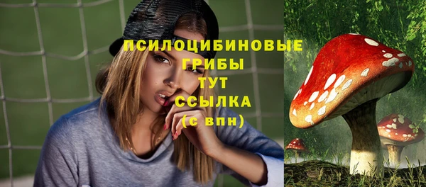 дживик Нефтекумск