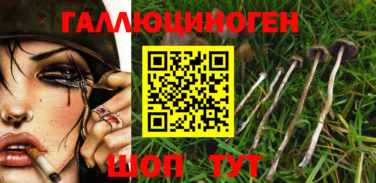 БУТИРАТ Фролово